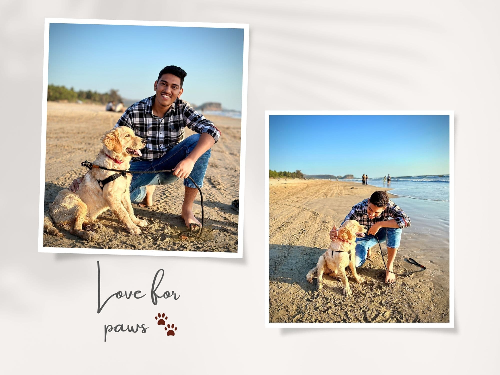 Cute moments 🐾