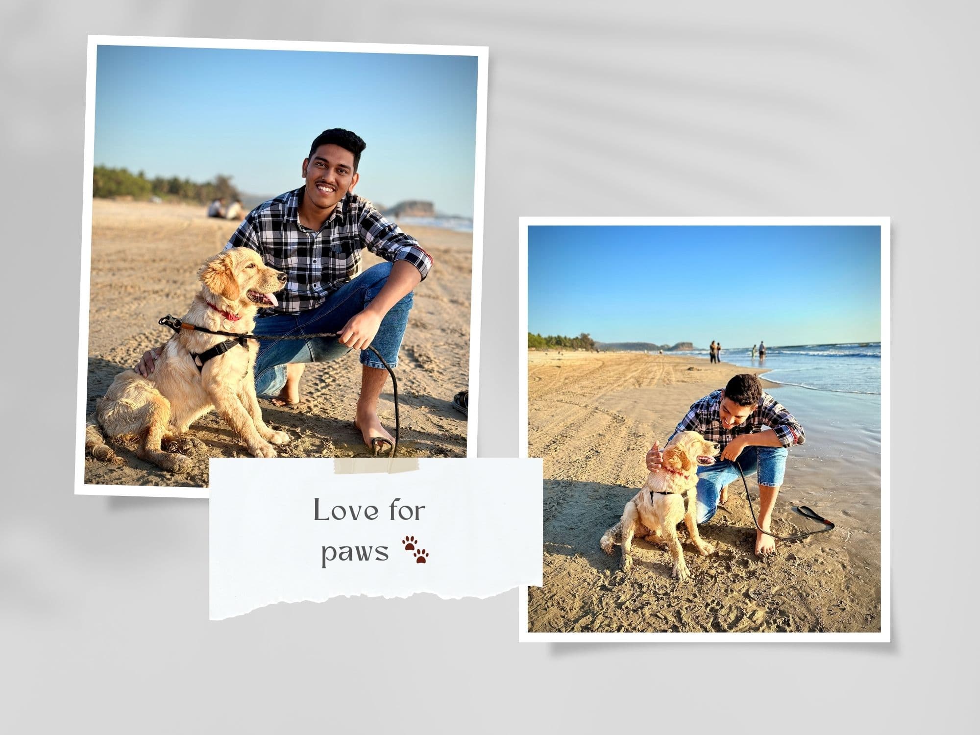 Cute moments 🐾